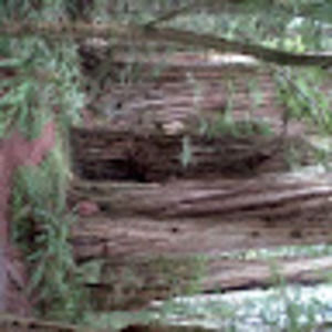 Meet your Posher, Kenny